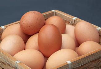 eggs