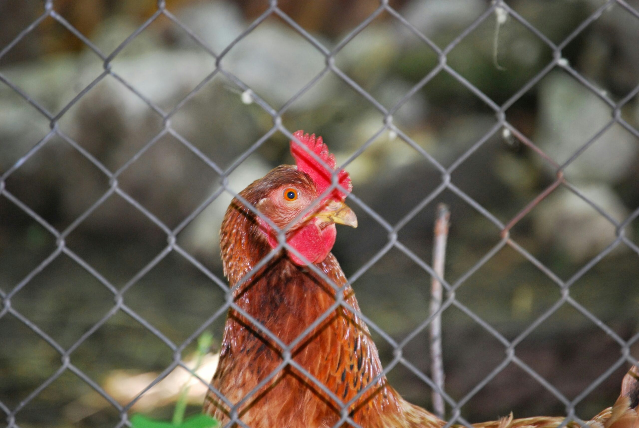 jogphotos cztm8zocwqs unsplash
