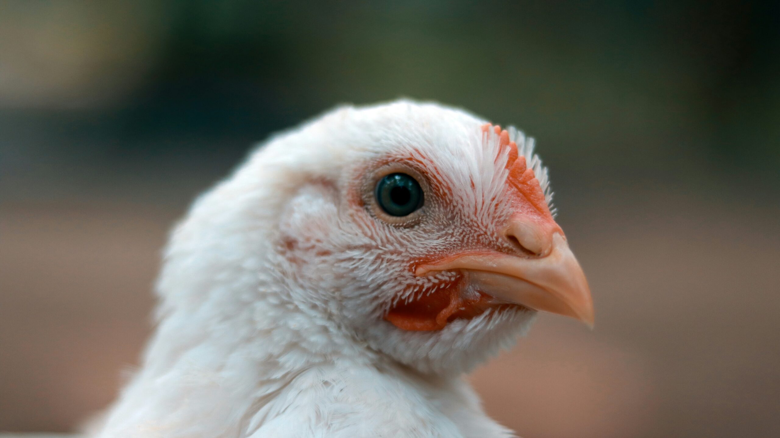tarikul raana hx4aziprf68 unsplash